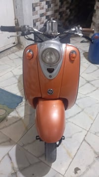سلف • بشاير • وارد