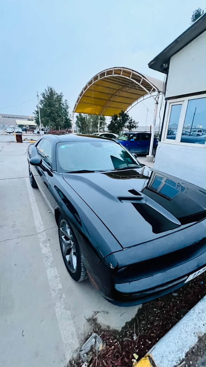 جالنجر SXT • ٢٠١٧ • بدون حادث