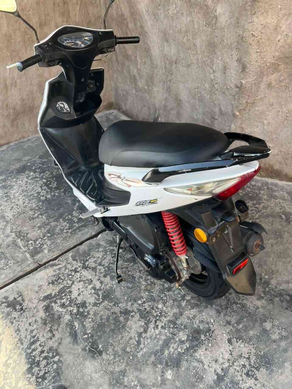 نحلة • نضيفة • بدون اوراق