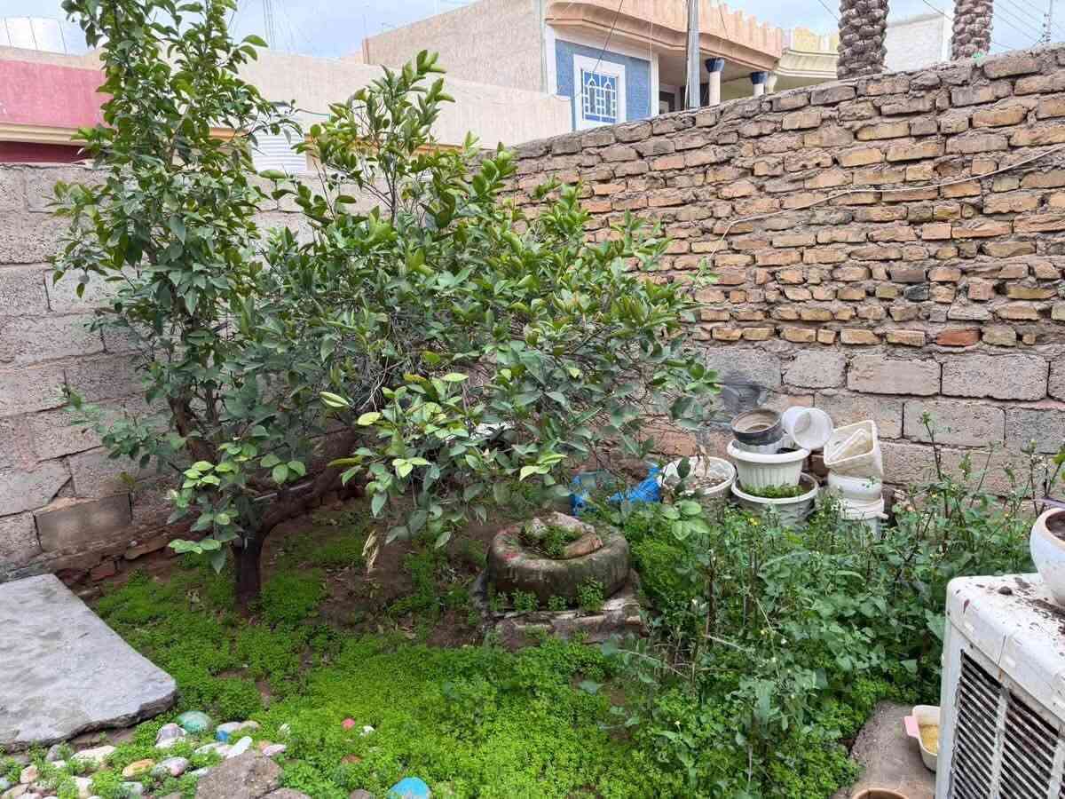 🏘️فرصة أستثمارية مميزة للبيع🏡

🏡 بيت + مشتمل للبيع

✅ طابو ملك صرف

📐 المساحة الكلية: 300 متر²

📍 الموقع:

ديالى – خانقين – منطقة توله فروش

فرع جانب تربية كوردستان – فرع هژار أبو باله – فرع الصب.

🔹 البيت: بناء قديم.

🔹 المشتمل: نظافته حوالي 65%.

🔹 العقاران مؤجّران حالياً ويحققان دخلاً شهرياً.

🔹 إمكانية سحب قرض عقاري على العقار (بحسب شروط وتعليمات الجهة المانحة).

💰 السعر: 80مليون دينار عراقي (بسعر الأرض ينباع، 

ويباع العقاران معًا).

📞 للاستفسار:

المهندس ئوميد

***********

#ملاحظة: يمكن أيضاً تكدر تسحب علية قرض عقاري ✅

— في ‏خانقين توله فروش‏.
