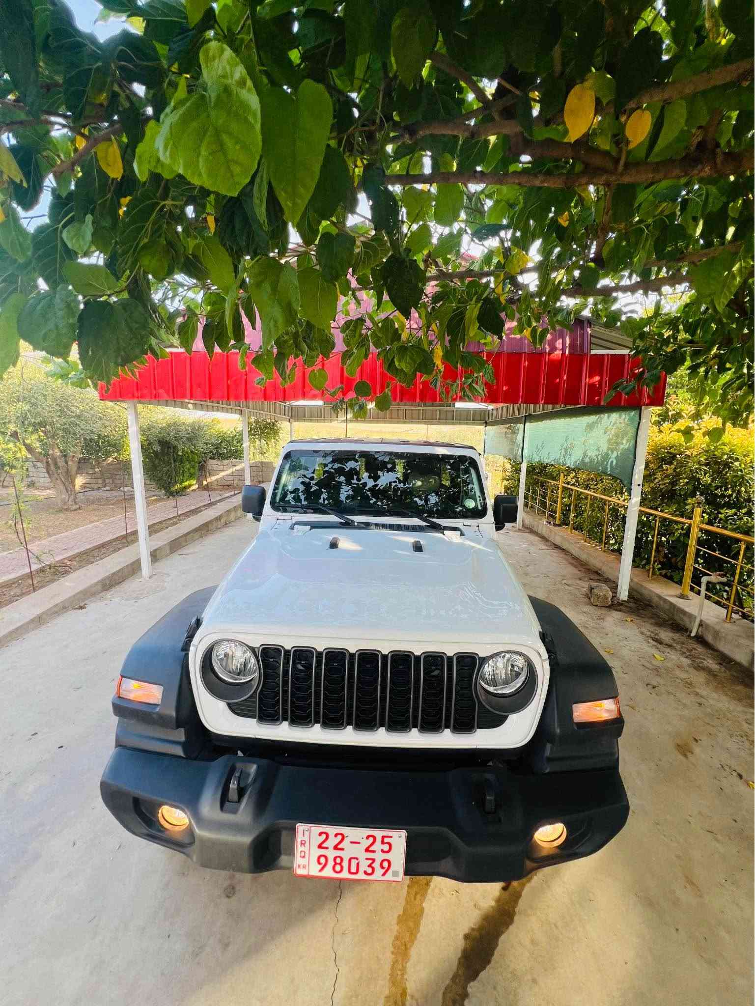 رانجلر • ٢٠٢٥ • بدون صبغ