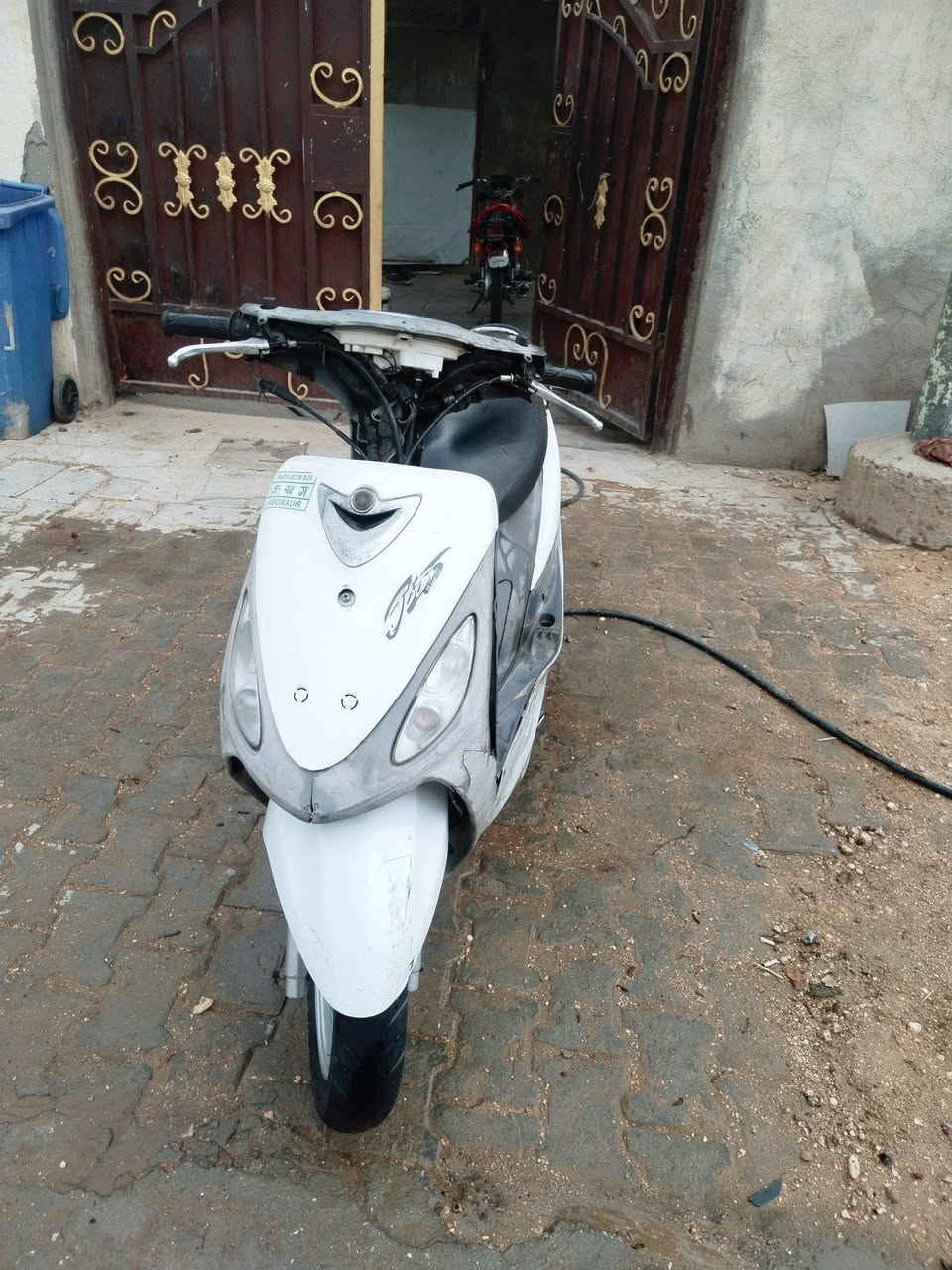 ماكس منغول • برغي • نضيفة
