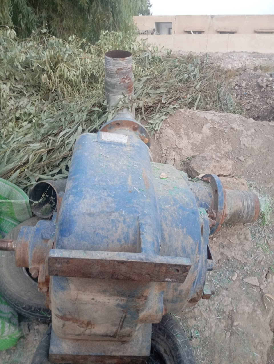 خنزيره كهربائيه • للبيع • ام الستة