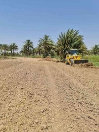 بابل طريق حله • نصف دونم • طابو سند ٢٥