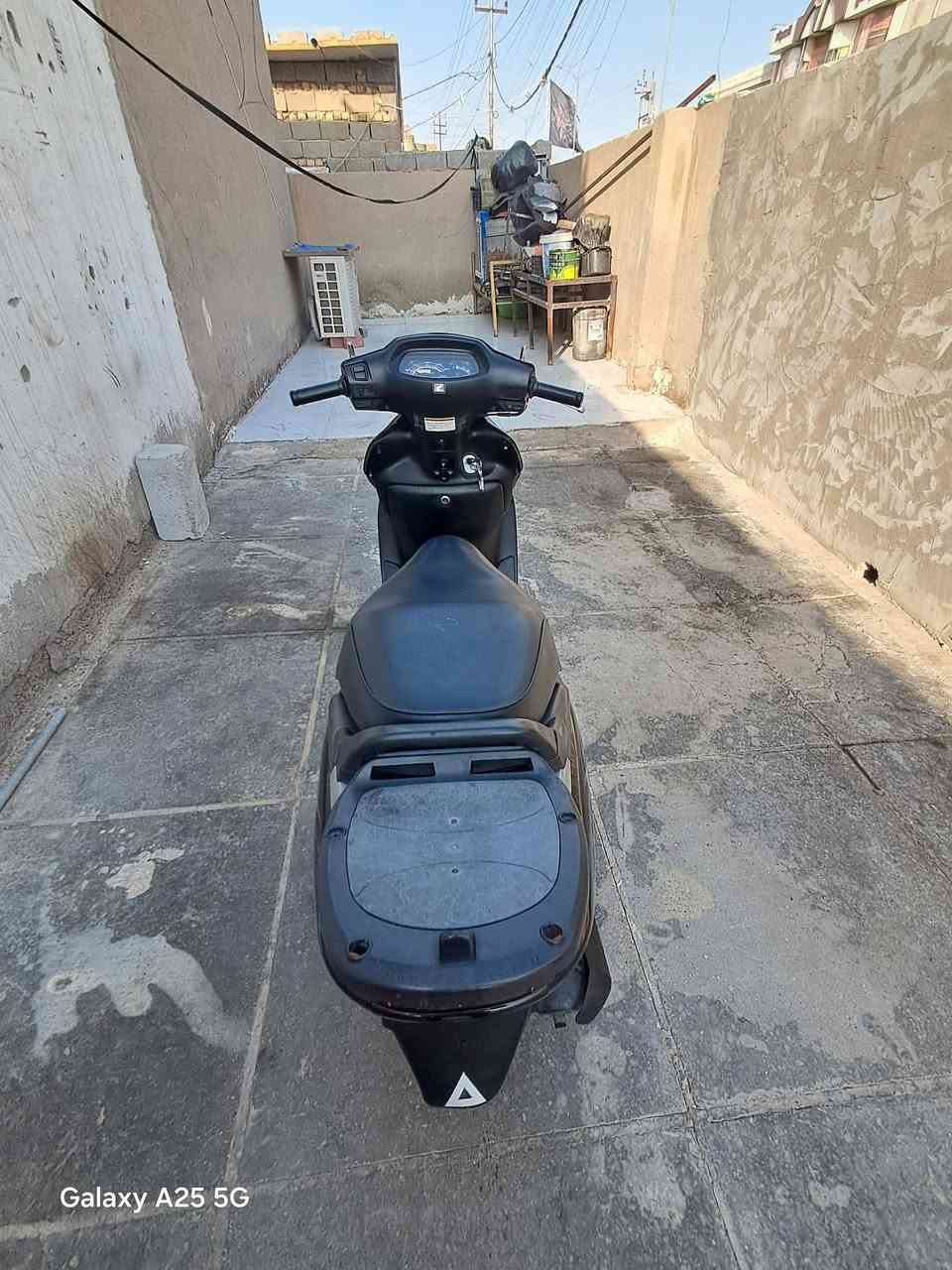 سبيسي • ياباني • مكفولة