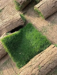 ثيل ديالى • طبيعي • توصيل ٢٤ ساعة