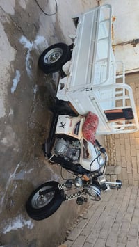 ستوته • دايون • ٢٠٢١
