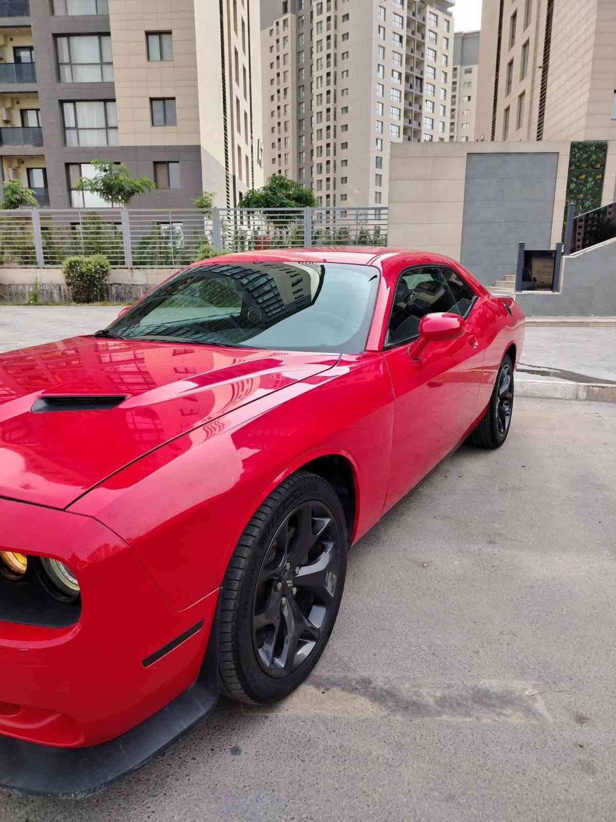 چالنچر SRT • ٢٠٢٠ • رقم بغداد