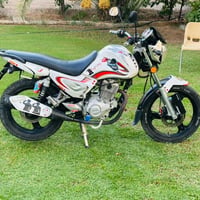 سنكي • ٢٠١٦ • كفاله عامه