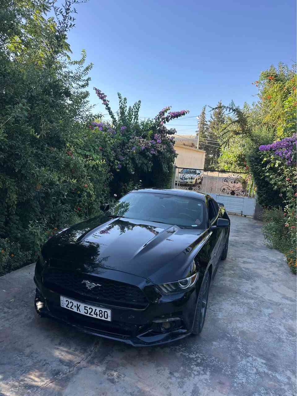 سلام علیکم 
موستانگ موسفات فول فول
مودیل٢٠١٧ 
ئیکوبوست
سنەوی بسمک 
تحویل غرام كل بشرط
جملغ بونيد صبغ
٨٥٠ الف غرم 
سعری١٠٣
واتساپ***********

***********

سلاو خواتان لبیت موستانگ ٢٠١٧ 
فول فول
موسفات
دووپارجە بویاخە 
٨٥٠ هەزار خرامە تیدایە دوای فرۆشتن بۆت دەگیرمەوە
گیرو مەکینە بە شەرت بەناوی خۆمەویە السليمانية, العراق
