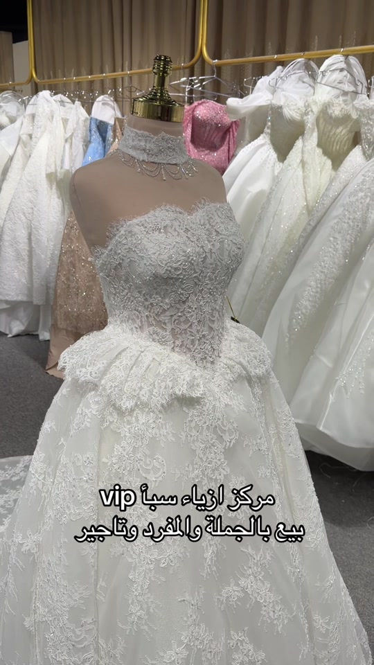 النجف • سبأ VIP • بيع جملة