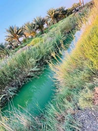 دونم • خلف جامعه بابل • سند ٢٥ فاتح بيان