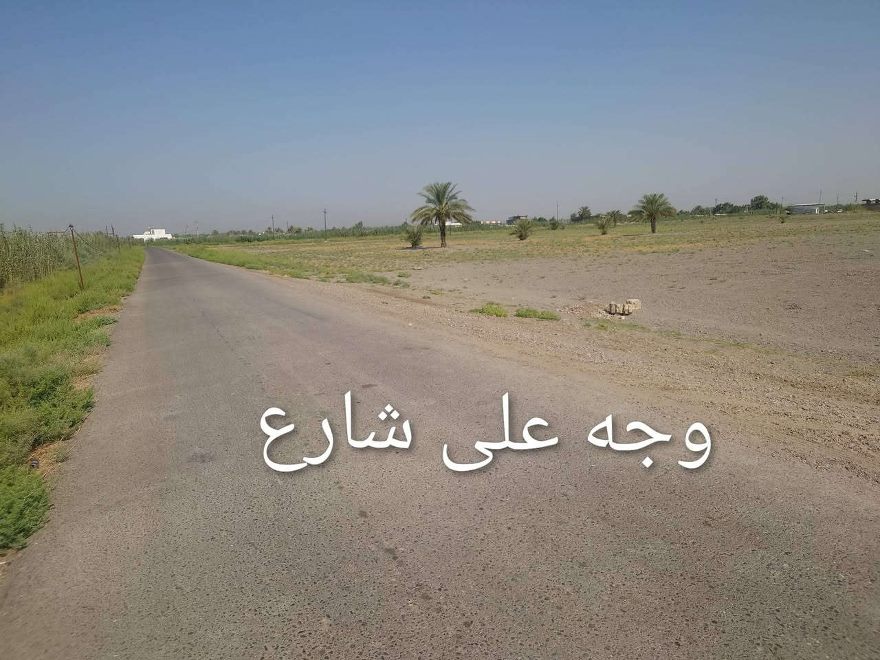 دوانم 3للبيع عقد 24  الشيحة خلف مزارع طيبة بالظبط سعر الدونم الوجه 70وداخل 65وبيه مجال بسيط للستفسار واتساب ***********
