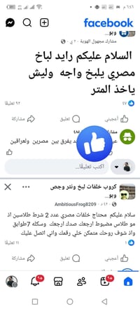 زين الباخ العراقي شنو نقصه؟ لاتكلي مايلتزم وماعنده حجايه جاي نشتغل على...