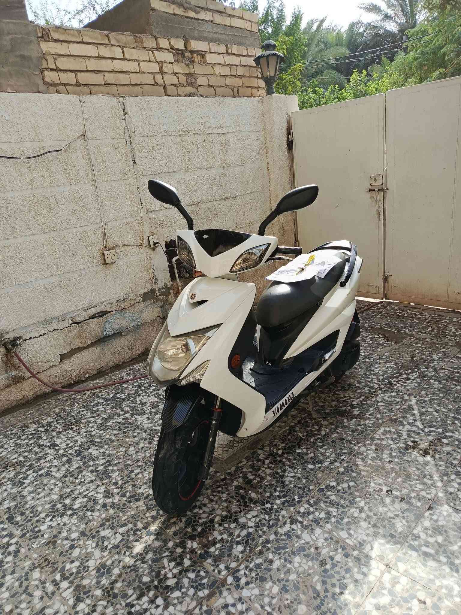 سكنس فحل • ٢٠١٣ • مكفول