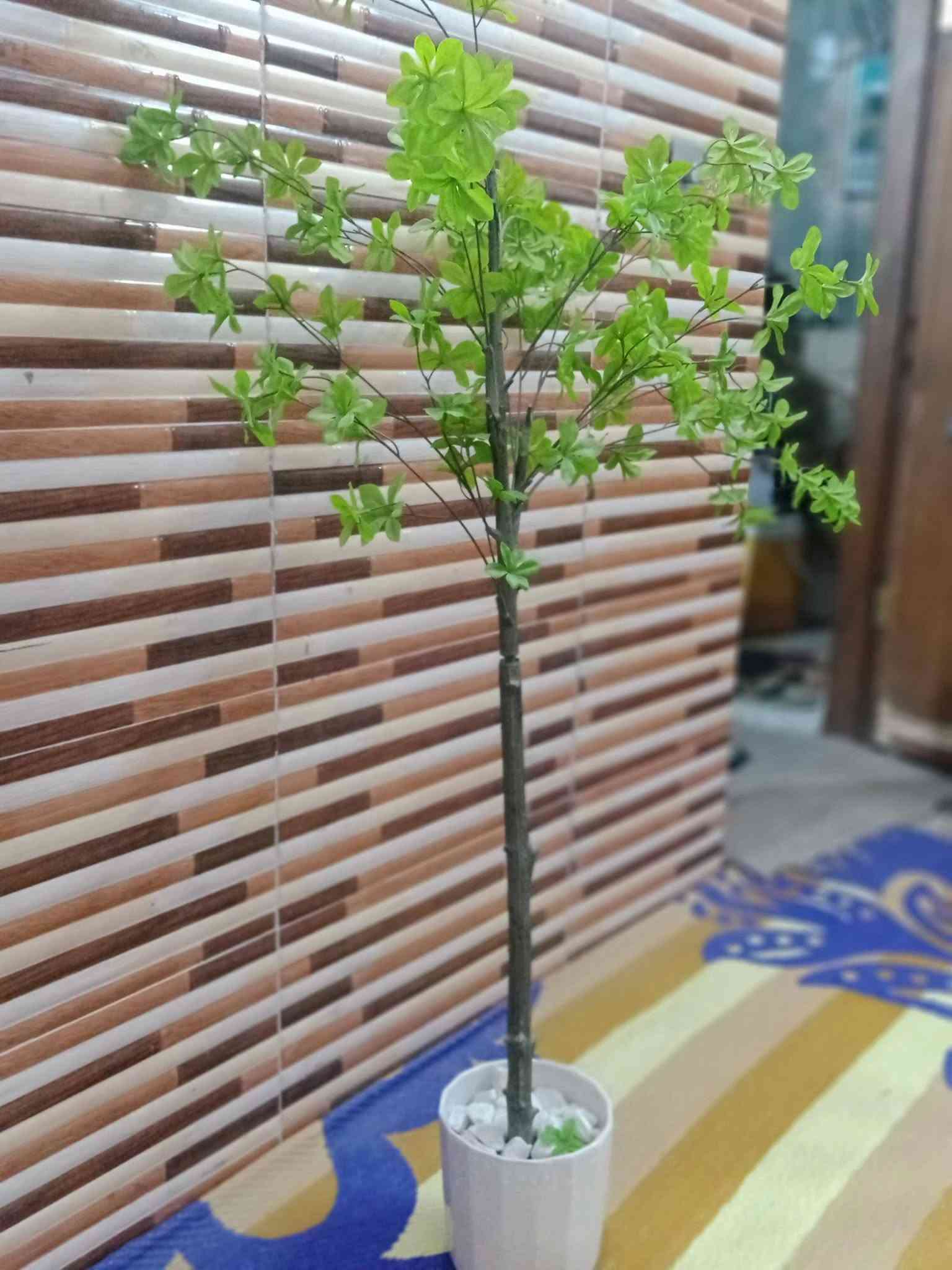 مستعملة • طباخ • زرع صناعي