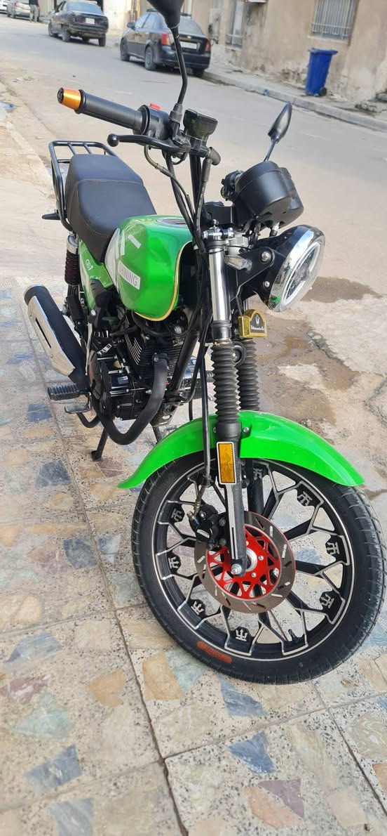 شاينك • ٢٠٢٦ • جديده