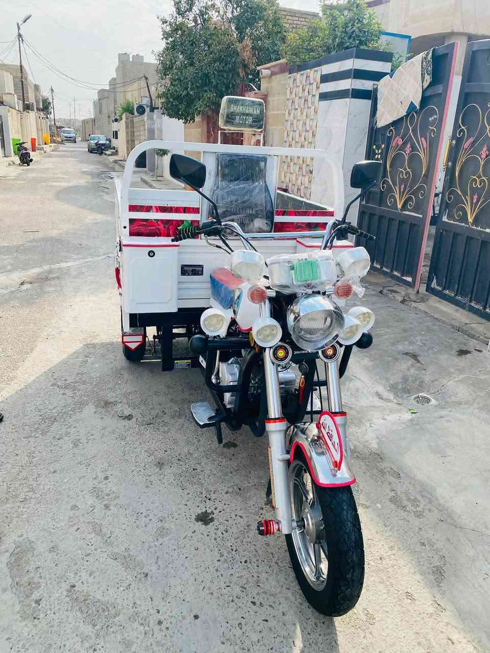 ستوته صقر • موديل ٢٣ • الاوراق