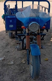 ستوته • اوراق • ٢٠١٩