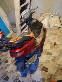 فراشة • فحل • مامفتوحه