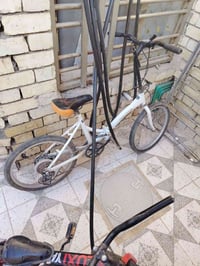 باسكال باله للبيع 07853706427