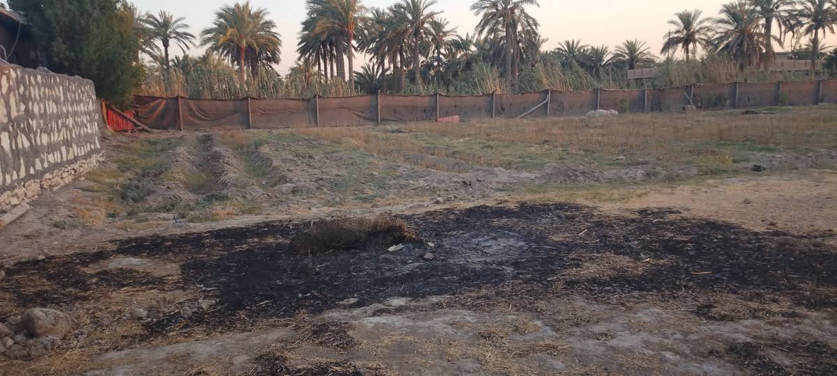 فرع المصلخ • دونم • مشتمل