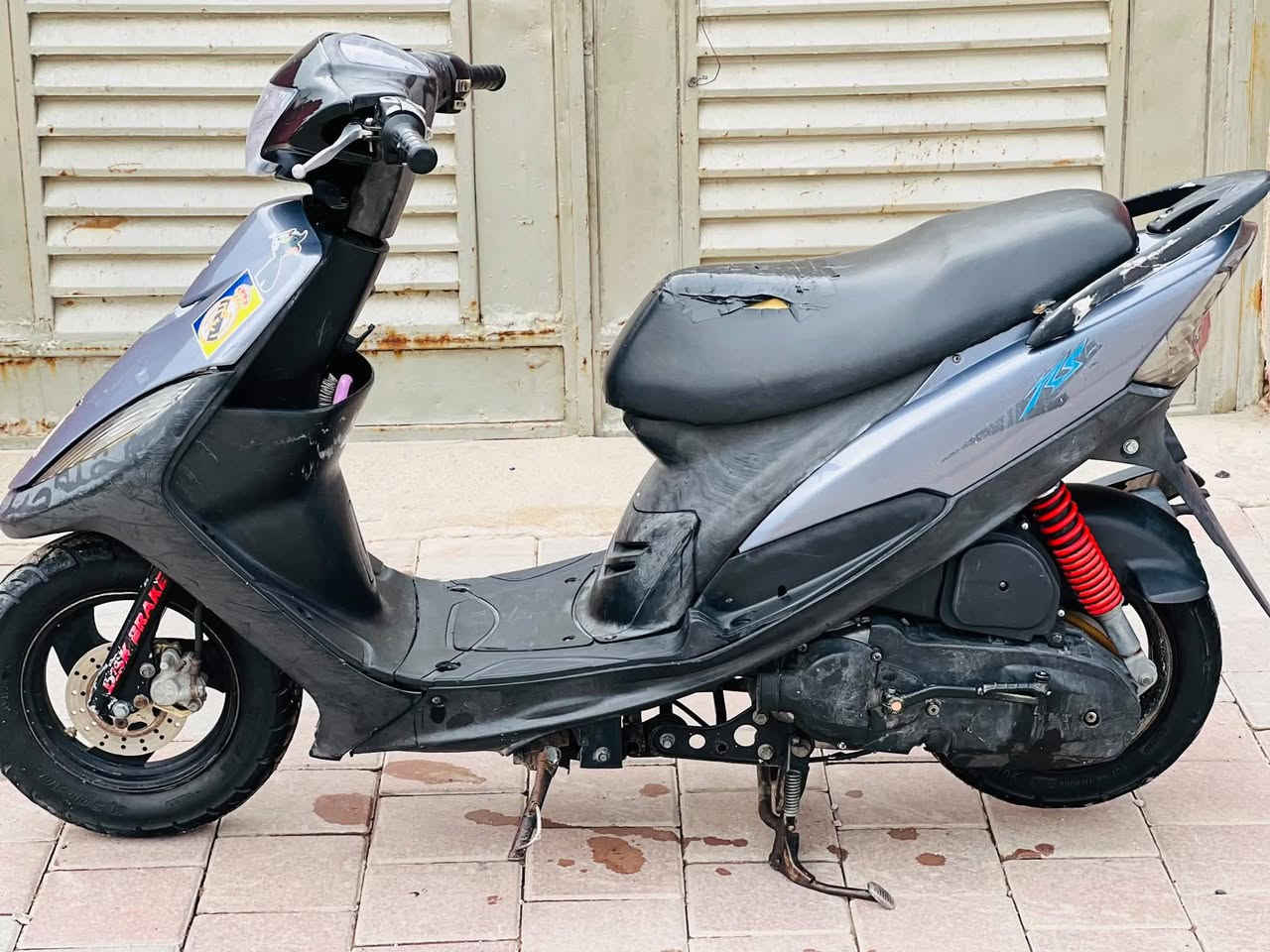 بوشه • ٤٩ • بلاديه