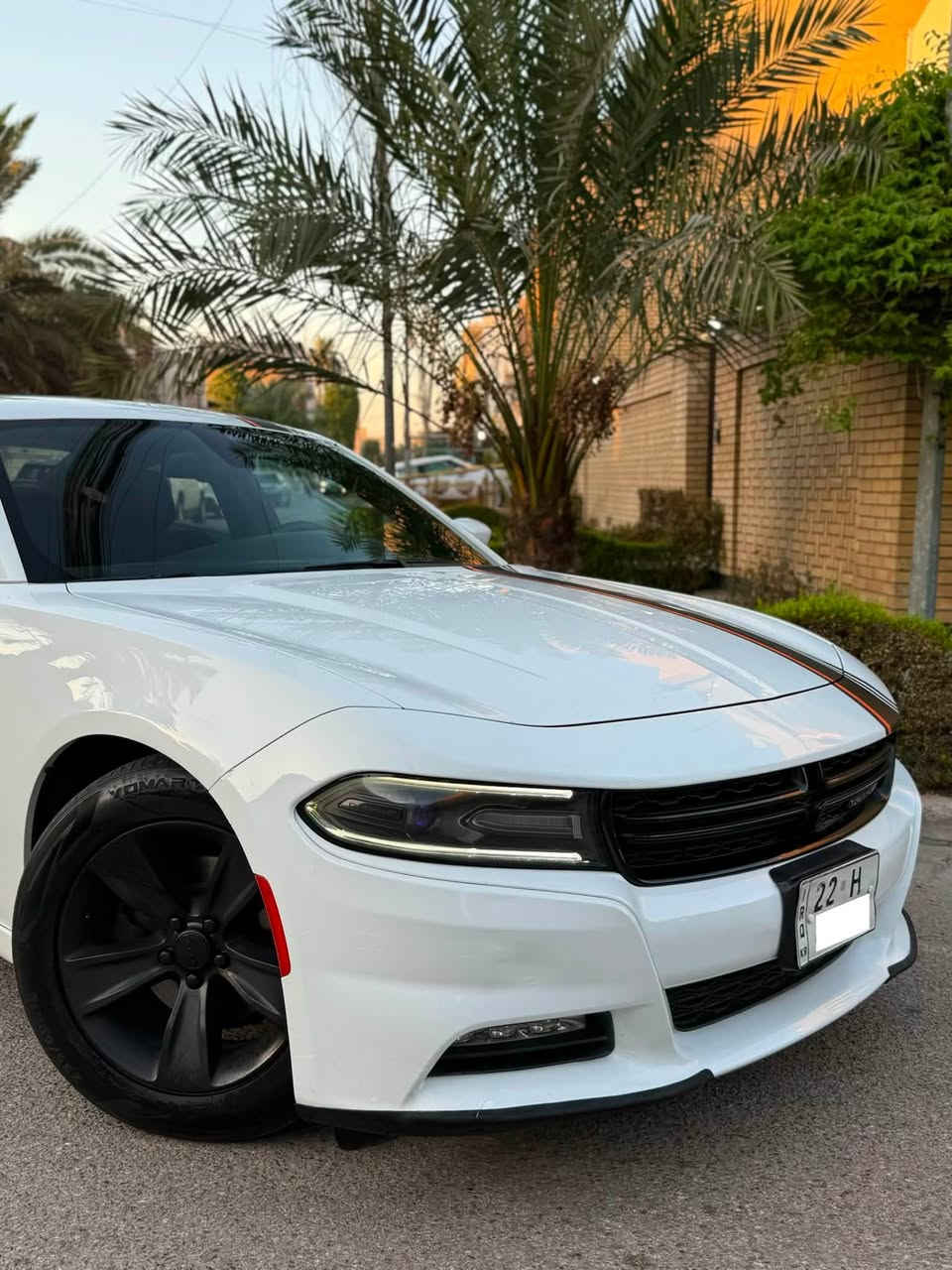 السلام عليكم 
لليدور جارجر جديده بالعافيه عليه هاي السياره
جارجر SXT 2016 كندي كفاله بدون قطره صبغ
رقم اربيل الجديد باسمي

موصفات
بصمه 
سستم صوت b
كشنات تدفئه 
رادار 
حساس امامي خلفي
انظمه قياده
شاشه كبيره 
تشغيل عن بعد 
كروز سرعه 
وبعد بيها مواصفات المعروفه

سياره جديده بمعنى الكلمه صدرها حلو كشرها حلو لابيه تكحيل لا صبغ لا شخوط سياره على وضع البلاد حت دعامياتها الاصليه 

ادامه كامله على المحرك والدهون والفلاتر يعني سياره كامله مناقصها شي حت تخم تاير شادلها صدر كله قطعه وحده 

رايدها ب194 ورجاءً مو شراي لتعلق وتعبني كلمه طيبه منك واعبر المنشور حبيبي انت🤍🌹
مكاني الوزيرية
للاستفسار ***********

