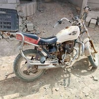 مراوس • جني زغير • للبيع
