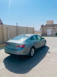 ماليبو • ٢٠٢٤ • ارباك سترين