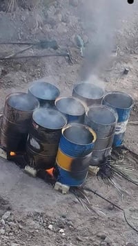 سكله المنكوشي • درجة اولى • بيع بالجملة