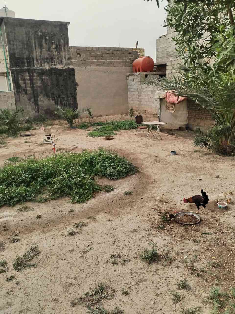 بيت للبيع مساحته ٥٨٠ متر في العريفية قرب محطة اسالة المي بناء قديم طابق واحد استقبال وهول وغرفتين نوم سند ٣٥ موقع جيد خدمات متوفرة للاستفسار الاتصال على ***********
