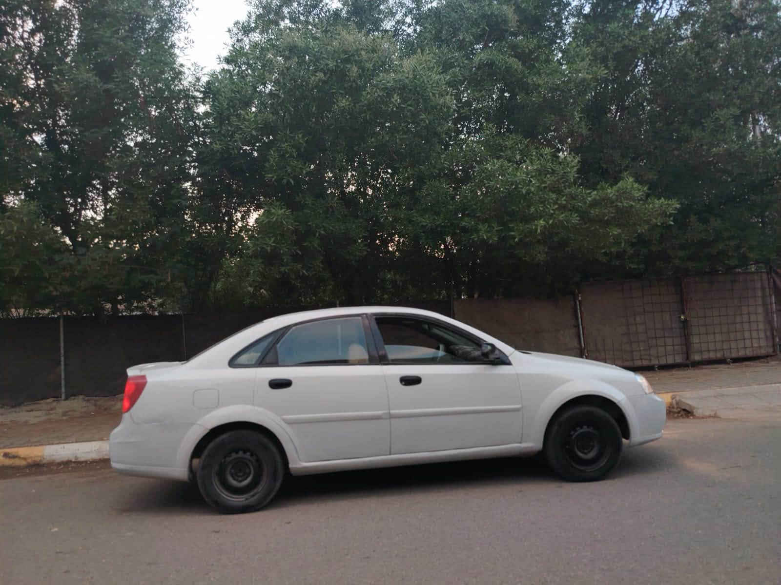 بترا • ٢٠٠٤ • بعقوبة
