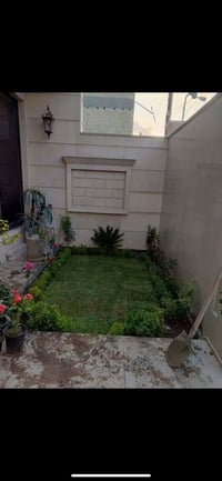 الموصل • تنظيف حدائق • قطع أشجار