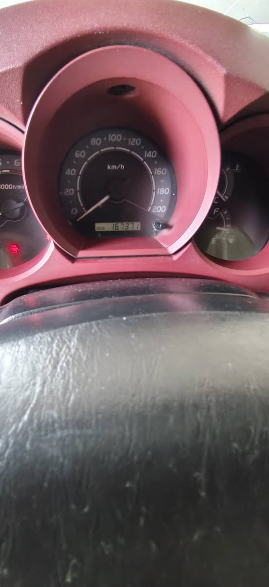 هايلوكس • بغداد • تاجي