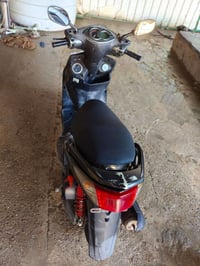 سكنس فحل • كاملة • بابل
