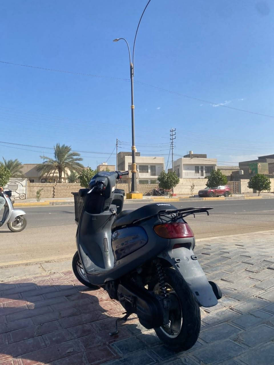 منغولي • ٦٠ • جديده