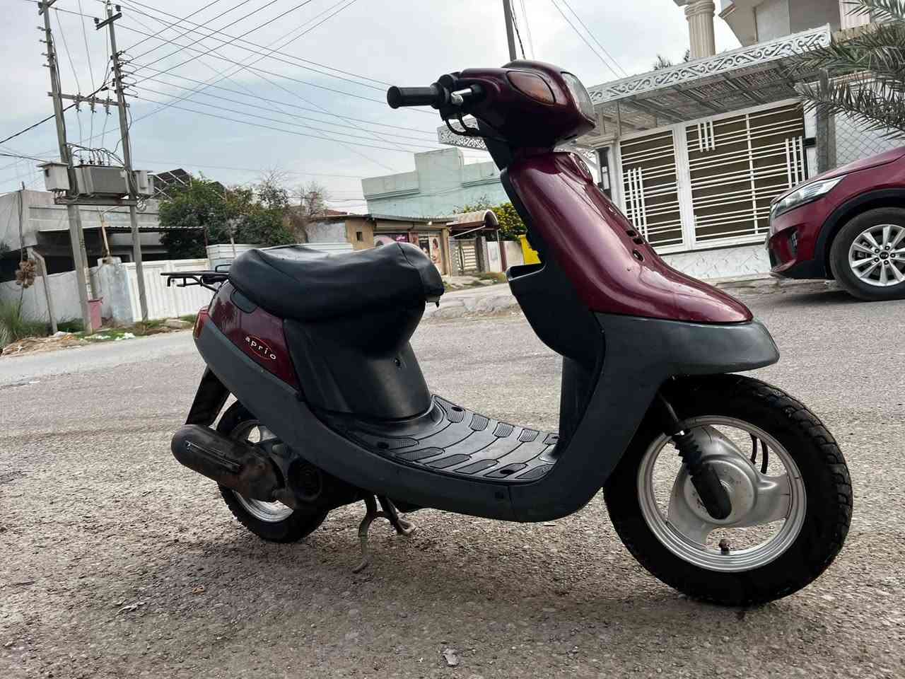 بطة • حاوية • ٦٠
