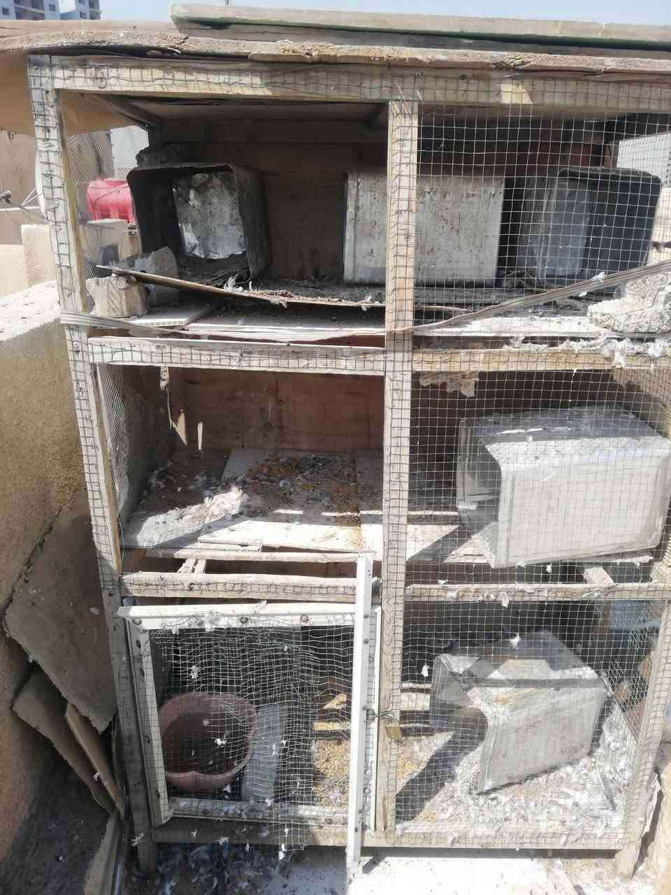 عندي برج الطيور اي شي يصير تخلون بي رايده ٣٠ وبي مجال هم عنوان حي الإعلام تقاطع درويش *********** هاذا رقمي
