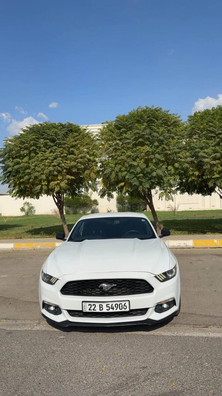 فۆرد مۆستانگ مۆدێل ٢٠١٦ V6
سەیارەکە بە پاکی ماوەتەوە 
تەنها بۆنیتی بۆیاخە و دوو جێی pdr
ئیرباگ سوکان سیستەم کراوە 
غرامەو بەناوکردن بەشەرت 
شوێن : هەولێر
*********** أربيل, العراق
