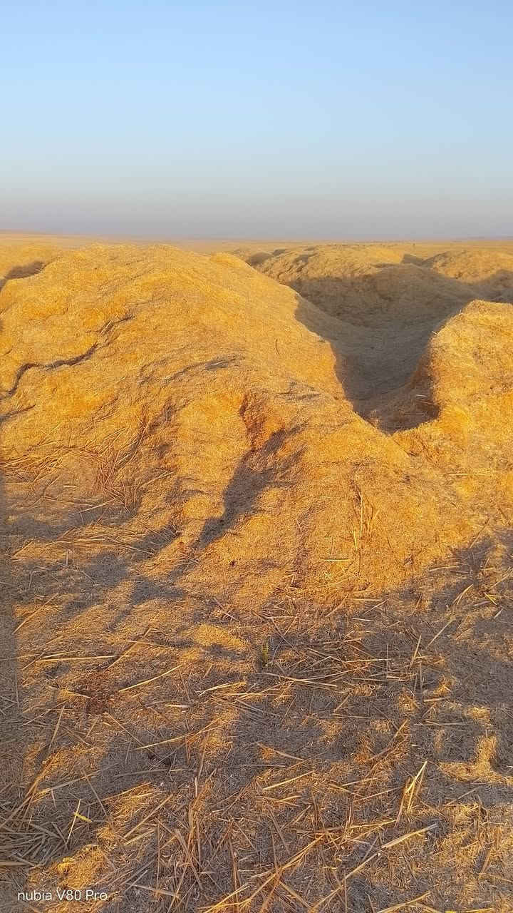 السلام عليكم للبيع تبن مجيس او فل الاستفسار ***********

نص مكتوب في الصور:
- nubia V80 Pro
