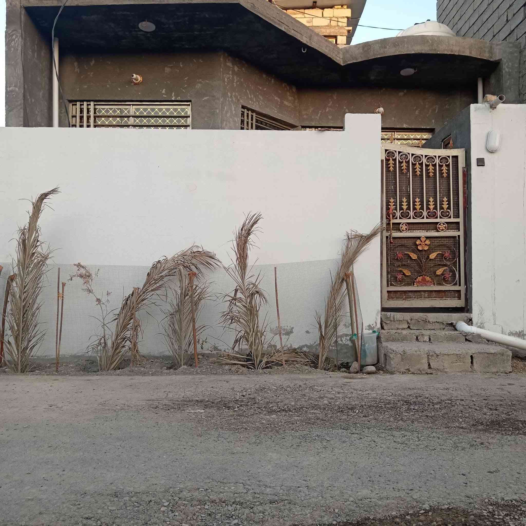 شتال • ١٠٠م • طابو زراعي