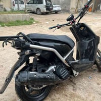 سكنس جبلي • تايوان • كفاله