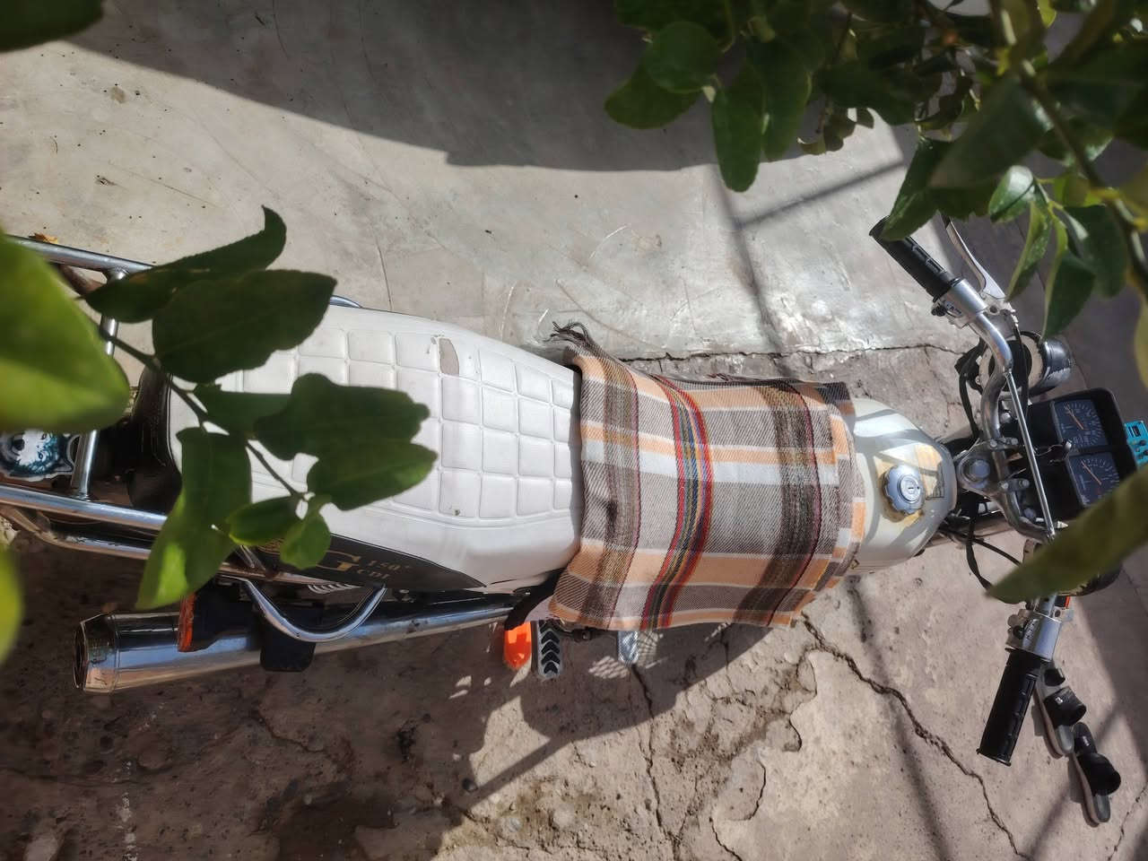 2020 • ما مفتوح • اوراق