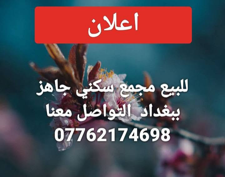 لا توجد تفاصيل
