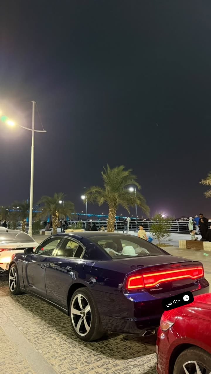 موديل ٢٠١٤ • فول جاهزه • أرقام وسنوية