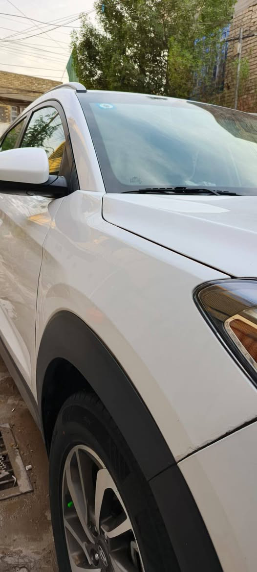 توكسان • ٢٠١٧ • صبغ