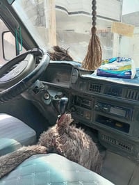 كيا بسته • مكينه وكير مكفول • دوشمه جديده