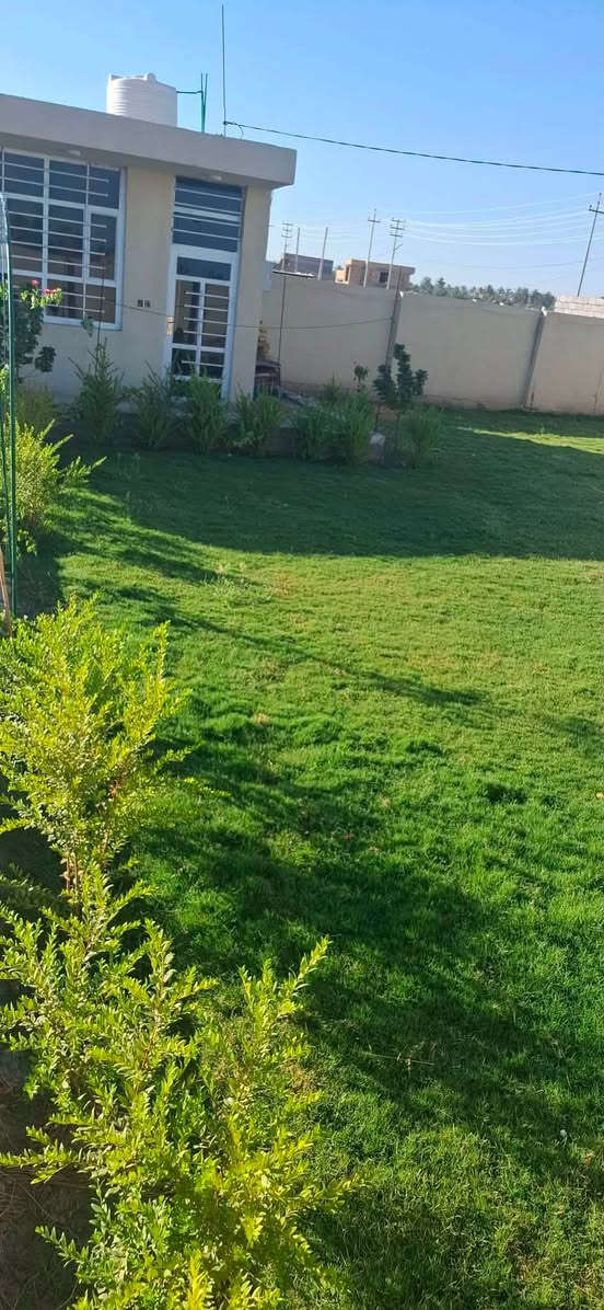 قطعه طابو زراعي سند 25مساحة 400 مكان القطعه ورديه خارج قريب سكة القطار 20x20 تحتوي ع غرفه ومطبخ وصحيات  عرض الشارع 10متر ركن السعر 85وبيه مجال رقم صاحب القطعه ***********
