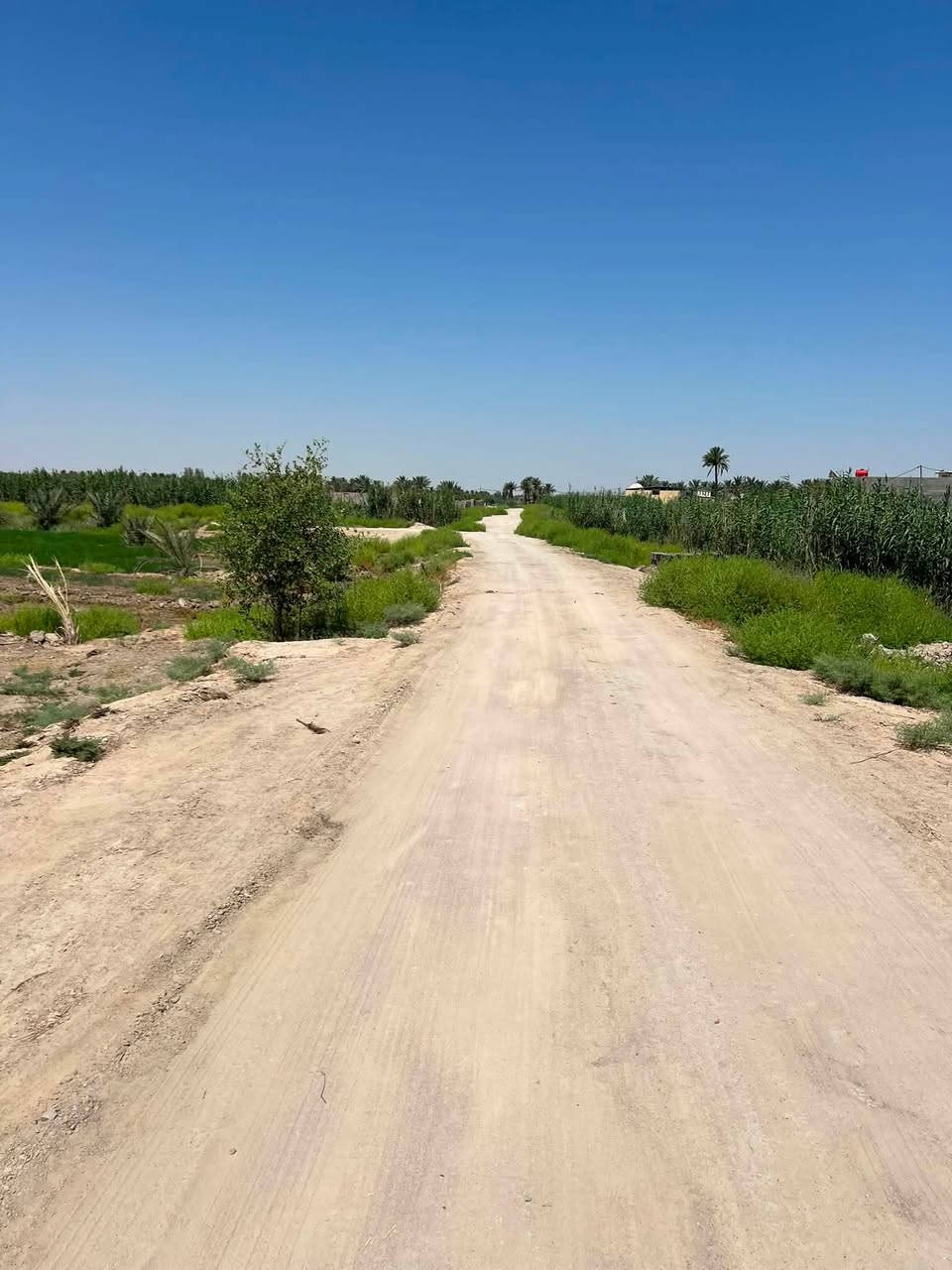 ✅توجد ٣ دوانم للبيع طابو زراعي ٢٥ متوفر كافه الخدمات 

الموقع طريق كربلاء نجف عمود 1141 منطقة الجذار 

سعر الدونم ٧٥ مليون وبيه مجال للشراي 
للاستفسار ***********
